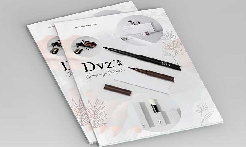 dvz cover