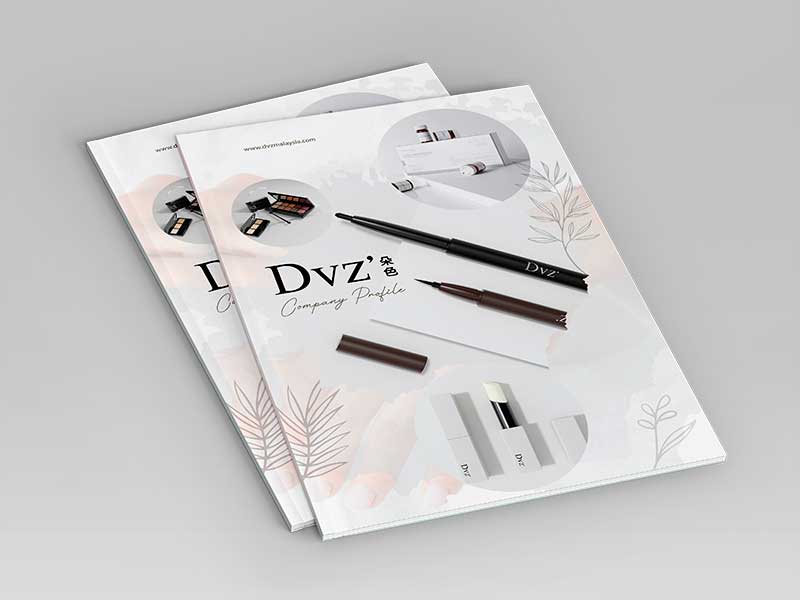 dvz cover
